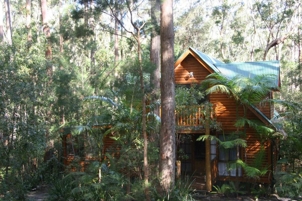 Springbrook Mountain Chalets Quarto foto